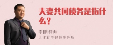 夫妻共同债务是指什么？