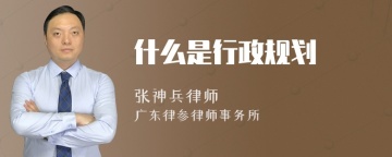 什么是行政规划