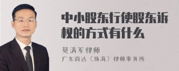 中小股东行使股东诉权的方式有什么