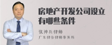 房地产开发公司设立有哪些条件