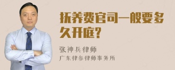 抚养费官司一般要多久开庭?