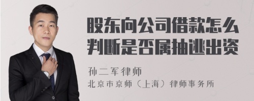 股东向公司借款怎么判断是否属抽逃出资