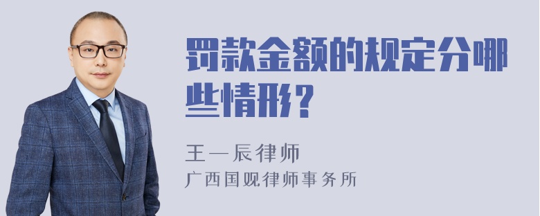 罚款金额的规定分哪些情形？