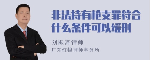 非法持有枪支罪符合什么条件可以缓刑