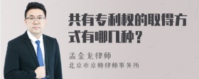 共有专利权的取得方式有哪几种？