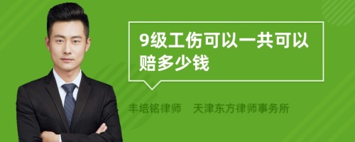 9级工伤可以一共可以赔多少钱