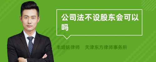 公司法不设股东会可以吗