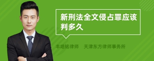 新刑法全文侵占罪应该判多久