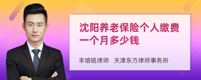 沈阳养老保险个人缴费一个月多少钱