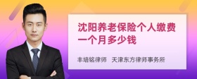 沈阳养老保险个人缴费一个月多少钱