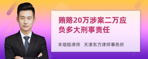 贿赂20万涉案二万应负多大刑事责任