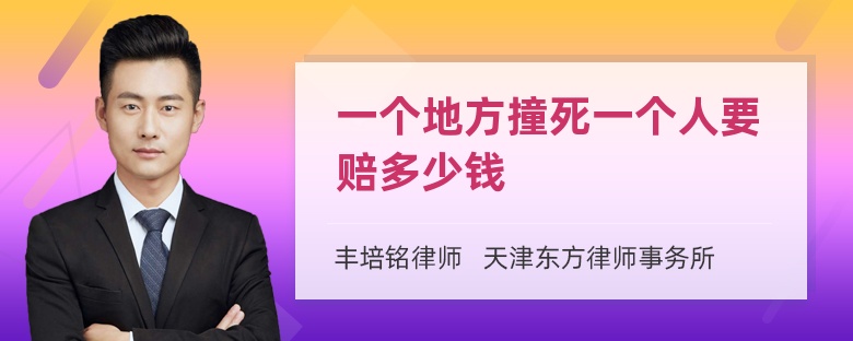 一个地方撞死一个人要赔多少钱