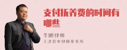 支付抚养费的时间有哪些