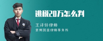 逃税20万怎么判