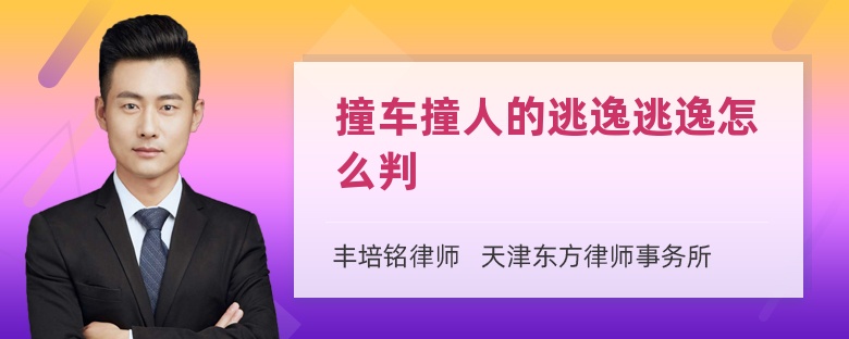 撞车撞人的逃逸逃逸怎么判