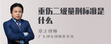 重伤二级量刑标准是什么