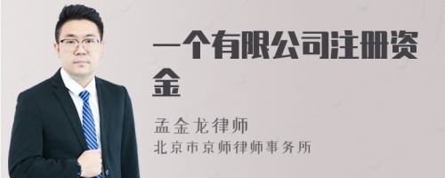 一个有限公司注册资金