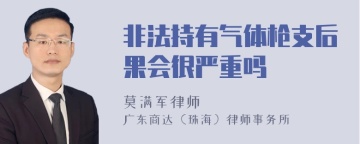 非法持有气体枪支后果会很严重吗