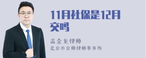 11月社保是12月交吗