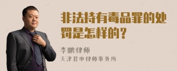 非法持有毒品罪的处罚是怎样的？