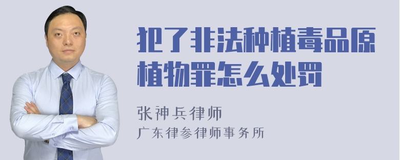 犯了非法种植毒品原植物罪怎么处罚