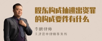 股东构成抽逃出资罪的构成要件有什么