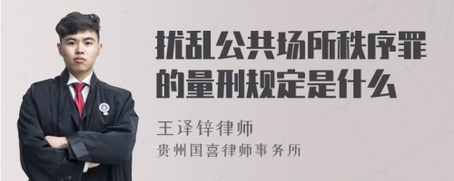 扰乱公共场所秩序罪的量刑规定是什么