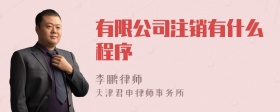 有限公司注销有什么程序