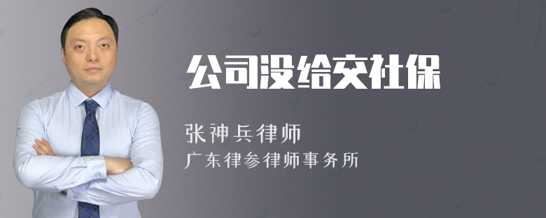 公司没给交社保