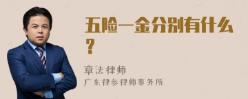 五险一金分别有什么？