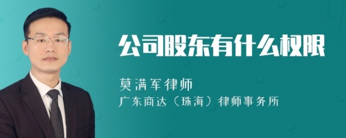 公司股东有什么权限