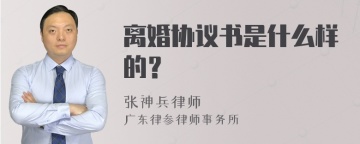 离婚协议书是什么样的？