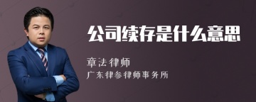 公司续存是什么意思