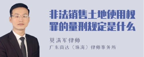 非法销售土地使用权罪的量刑规定是什么