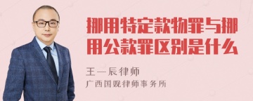 挪用特定款物罪与挪用公款罪区别是什么