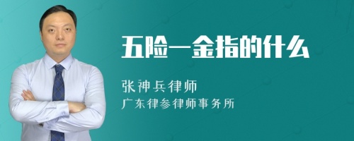 五险一金指的什么