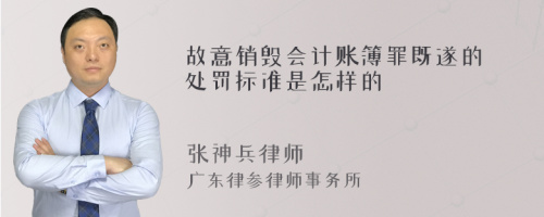 故意销毁会计账簿罪既遂的处罚标准是怎样的