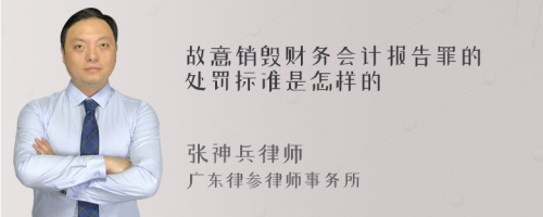 故意销毁财务会计报告罪的处罚标准是怎样的