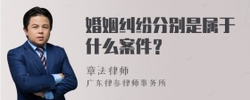 婚姻纠纷分别是属于什么案件？