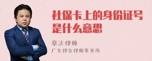 社保卡上的身份证号是什么意思