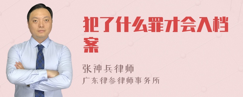 犯了什么罪才会入档案