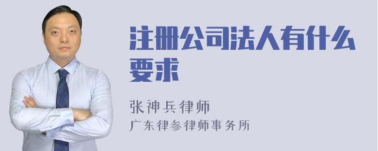 注册公司法人有什么要求