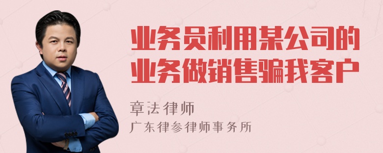 业务员利用某公司的业务做销售骗我客户