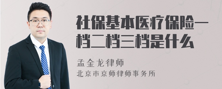 社保基本医疗保险一档二档三档是什么