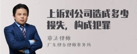 上诉对公司造成多少损失，构成犯罪