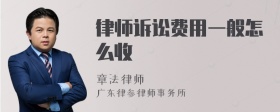 律师诉讼费用一般怎么收