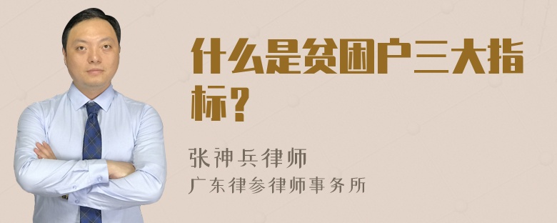 什么是贫困户三大指标？