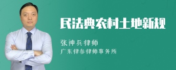 民法典农村土地新规