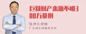 巨额财产来源不明300万量刑