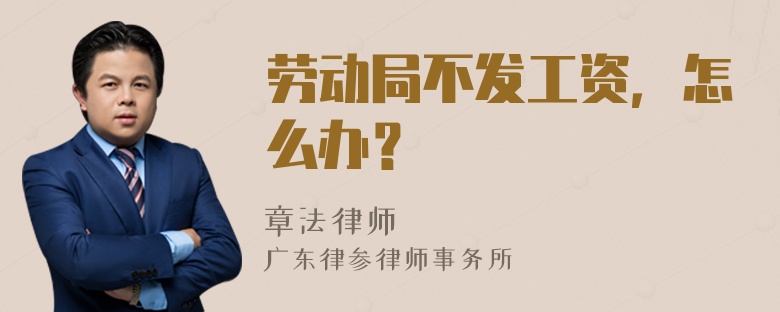 劳动局不发工资，怎么办？